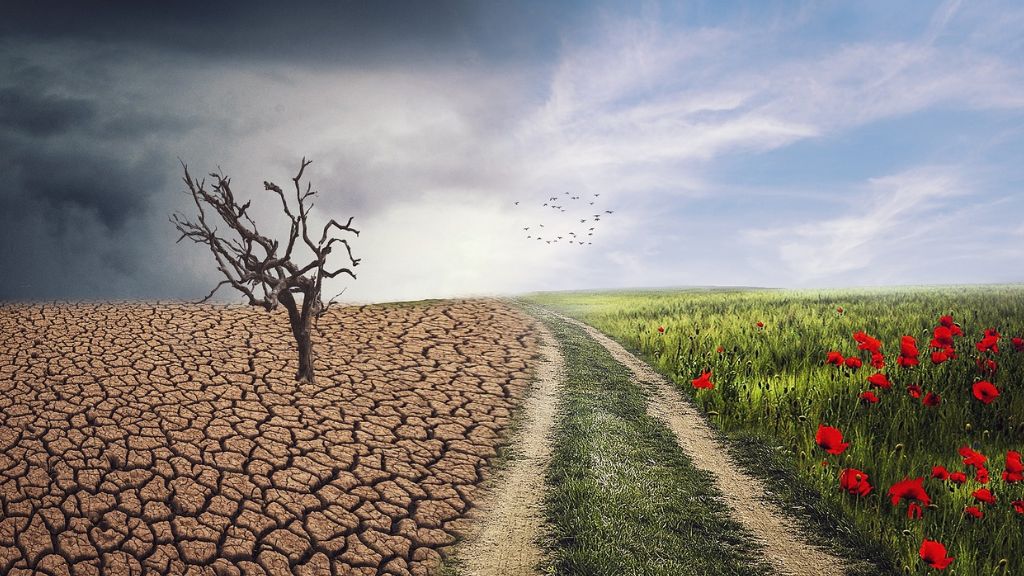 NHS guidance supports climate change resilience